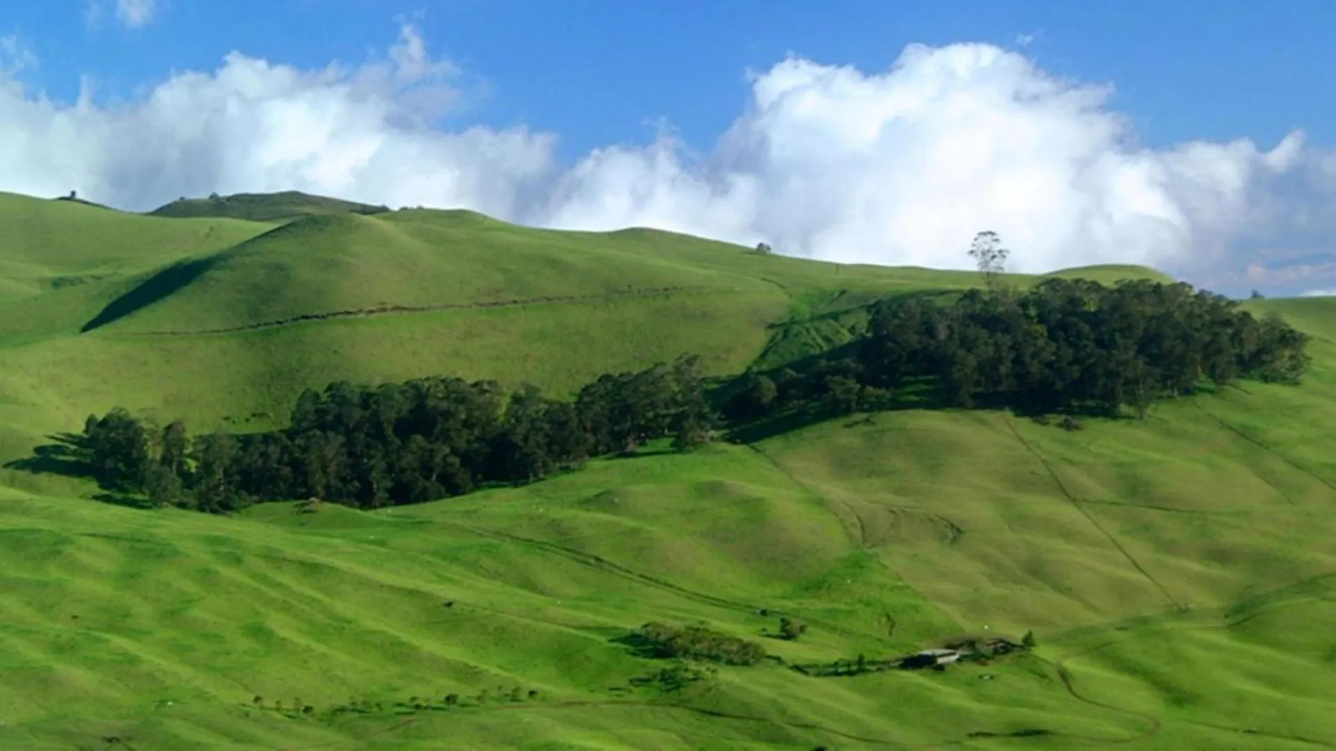 Mahana 713 Kahana